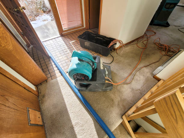 Best Water damage contractors near me  in West Hollywood, CA