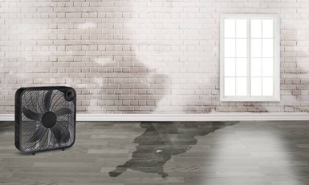 Best Commercial water damage restoration  in West Hollywood, CA