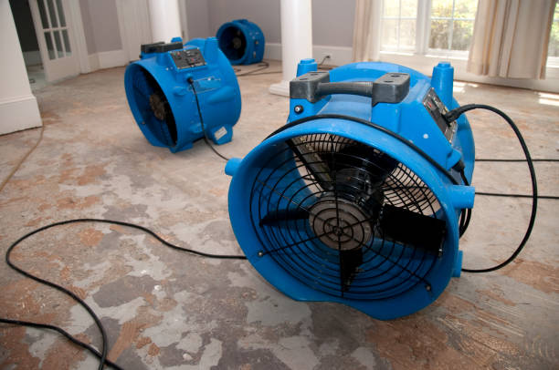 Best Commercial water damage restoration  in West Hollywood, CA