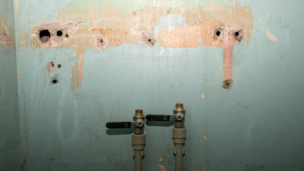 Best 24-hour water damage restoration  in West Hollywood, CA