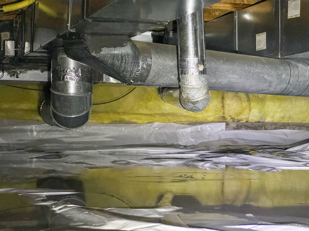 Best Professional water damage repair  in West Hollywood, CA