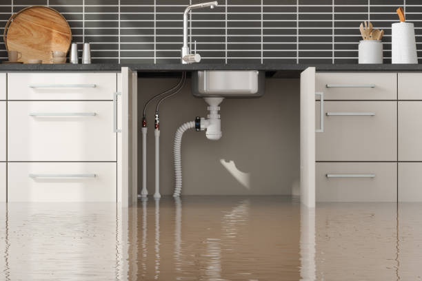 Best Ceiling water damage repair  in West Hollywood, CA