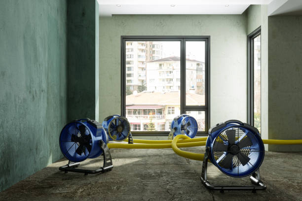 Water damage restoration insurance claims in CA